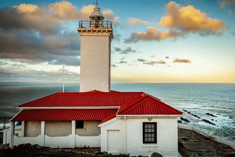 Day 5: Cape Town - Mossel Bay (Garden Route)